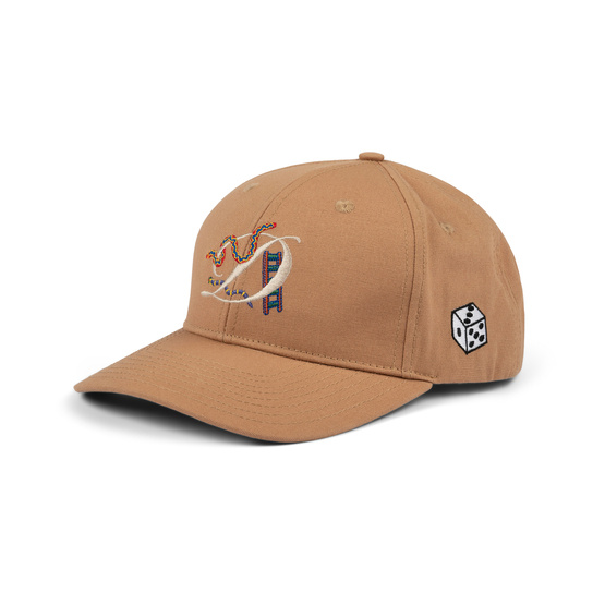 Dime D snake full fit cap camel